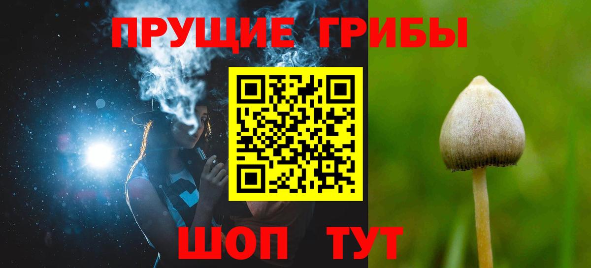 Галлюциногенные грибы Psilocybe Иваново